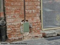 Imagine atasata: Cetate - 2017.04.24 - 13.jpg